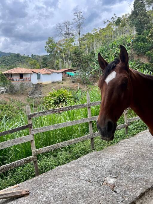 Finca Sierra Luz photo 3