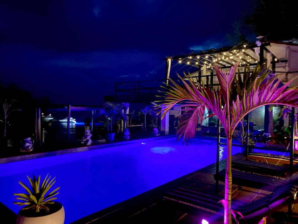 Boutique Beachfront Hotel on Isla Contadora photo 4