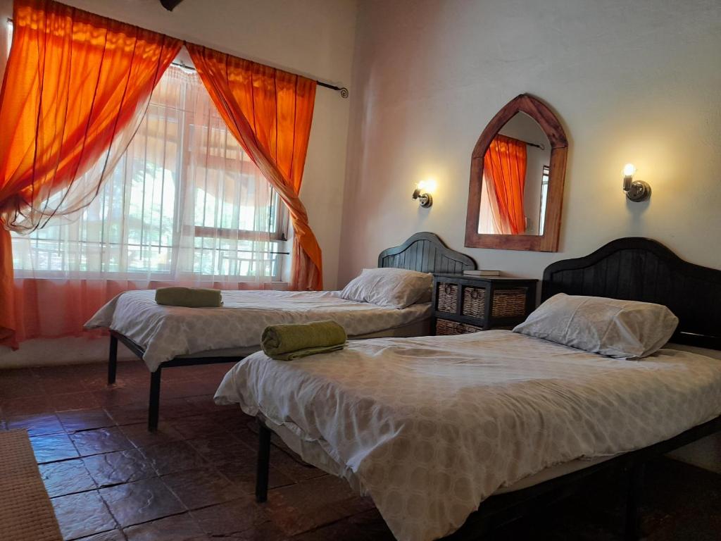 Lion's Den Guesthouse Otjiwarongo photo 4