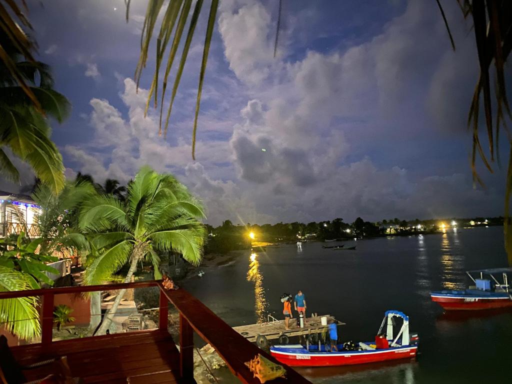 Las Palmeras OceanView Hotel and Dive Center photo 4