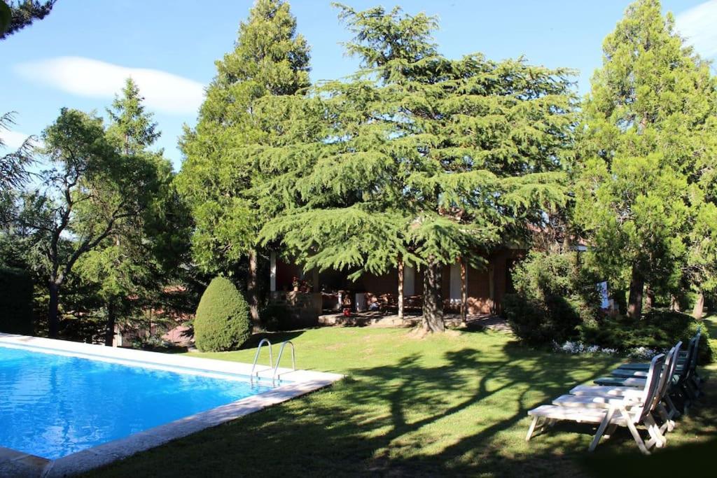 El Rincon del Tejo photo 2