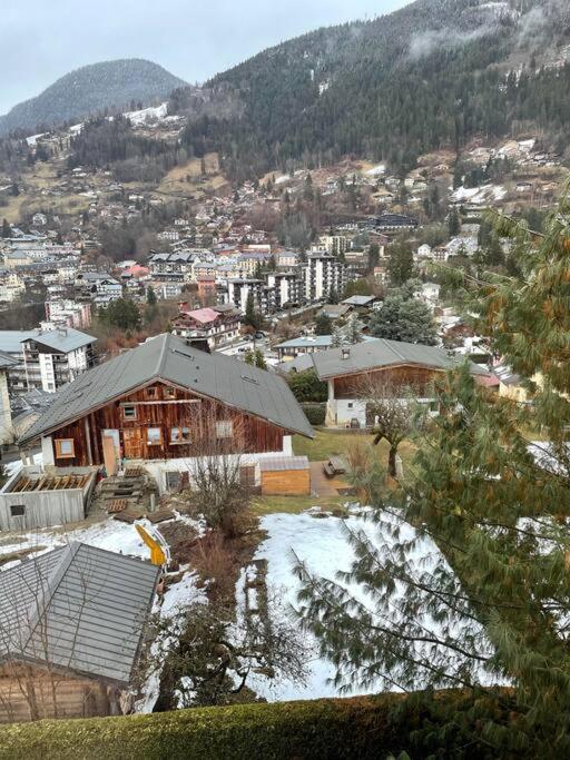 Charmant appartement T3 avec magnifique vue photo 3