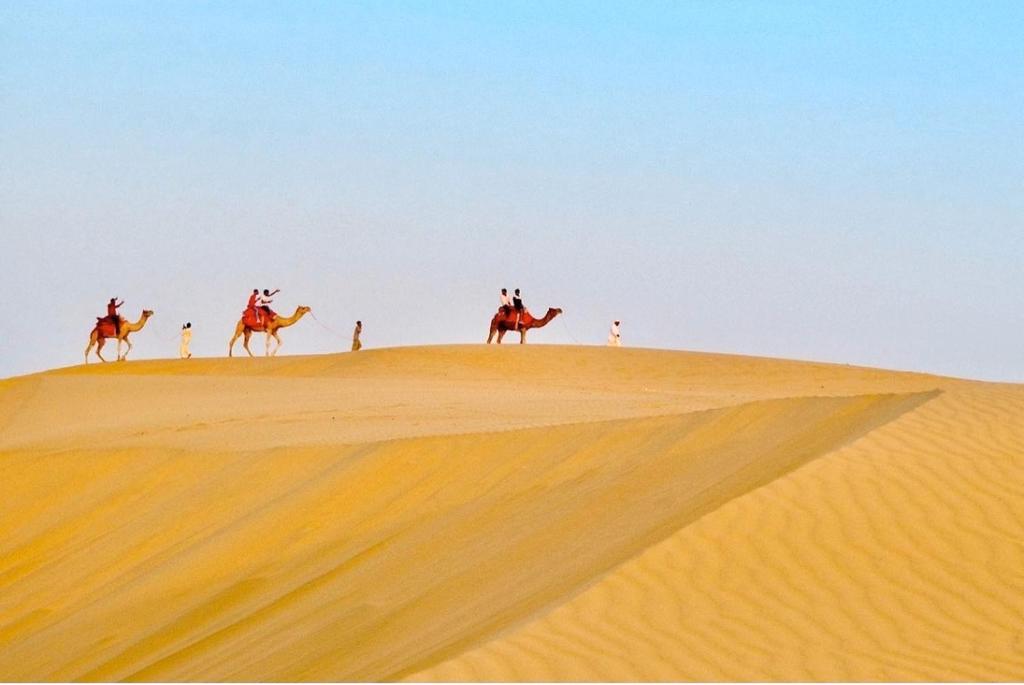 JAISALMER VIVO RESORT photo 4