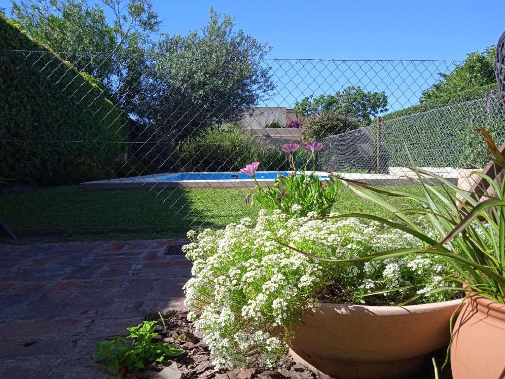 Casa Los Trinos photo 3