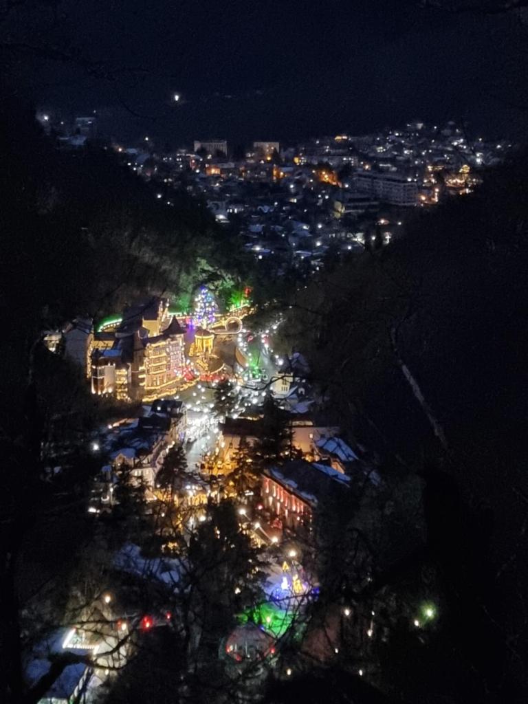 Borjomi Plato hause photo 1
