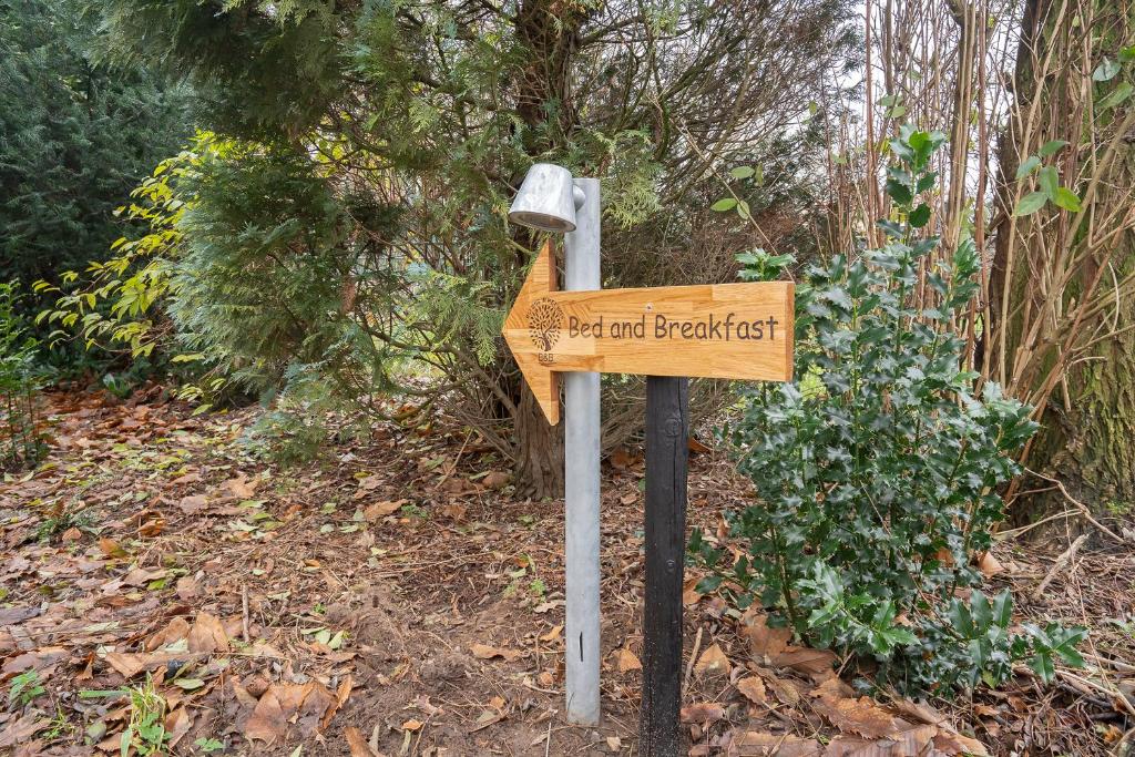 Bed and Breakfast Bij ons in het bos photo 2