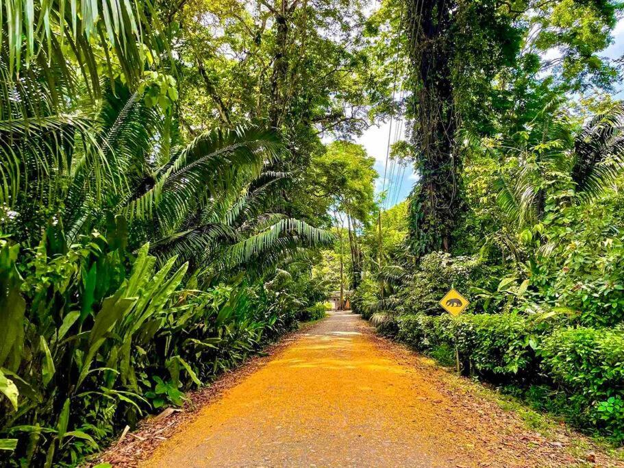 Casita Kreyol Jungle Sanctuary/Walk to Playa Negra photo 4