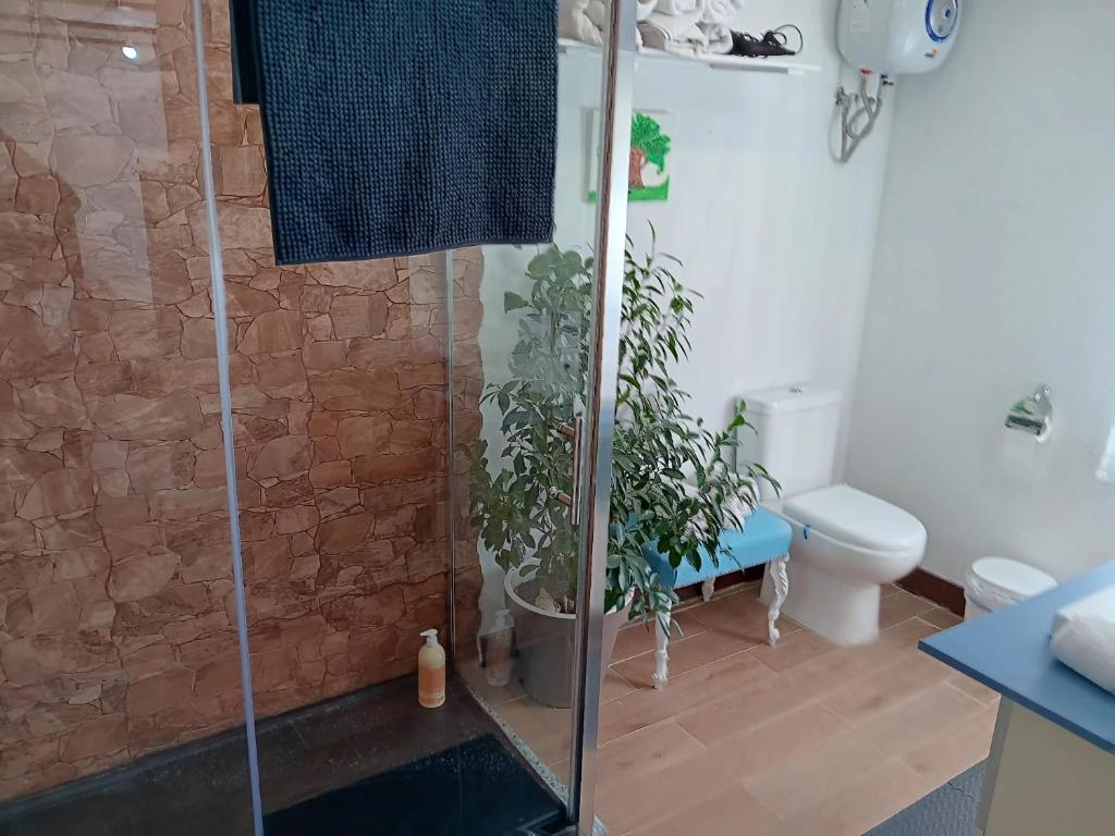 Villa Noah photo 3