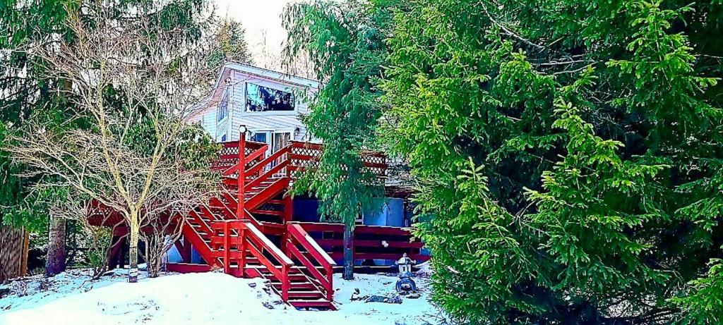 Cozy cottage in the heart of pocono photo 1