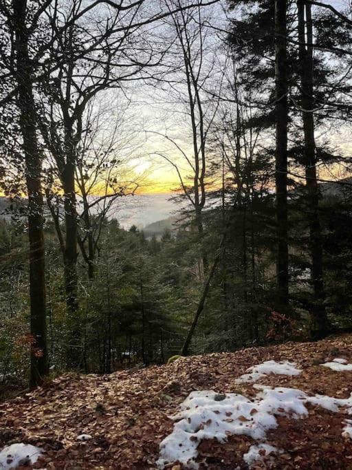 Chalet en forêt avec etang. photo 3