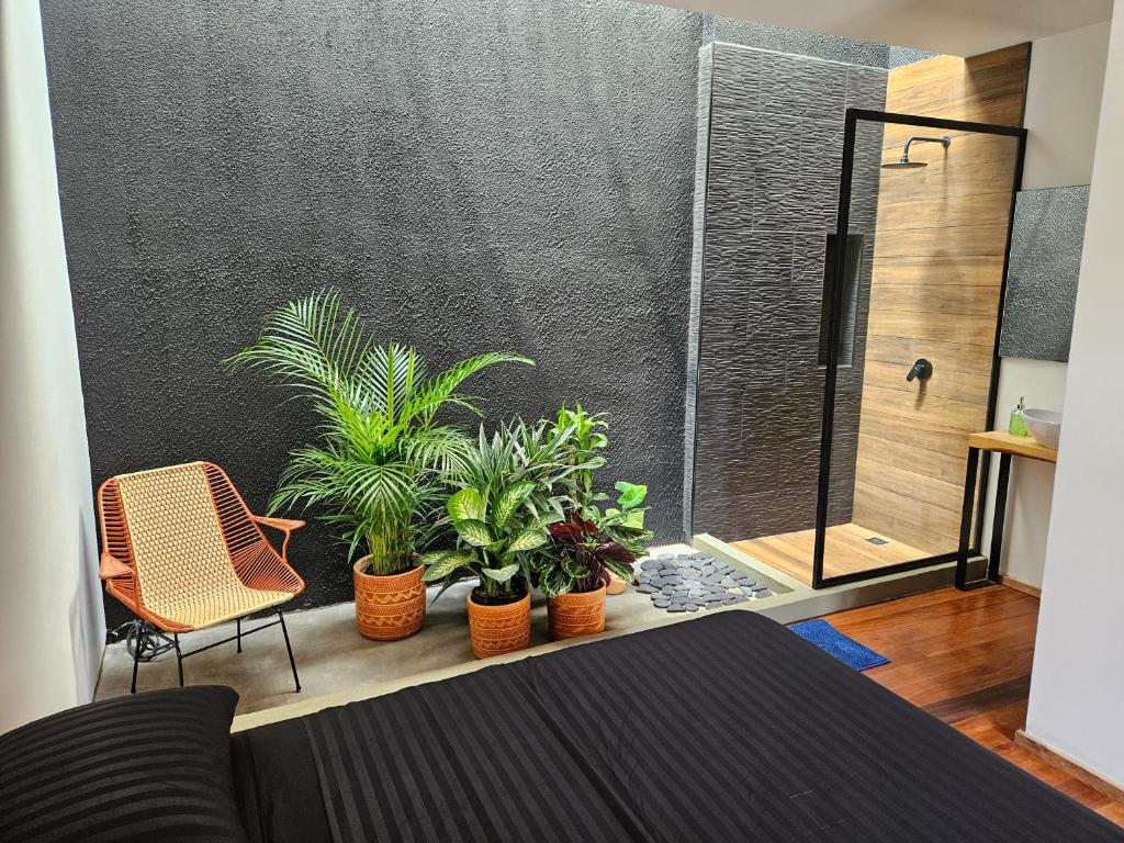Casa Alba photo 2
