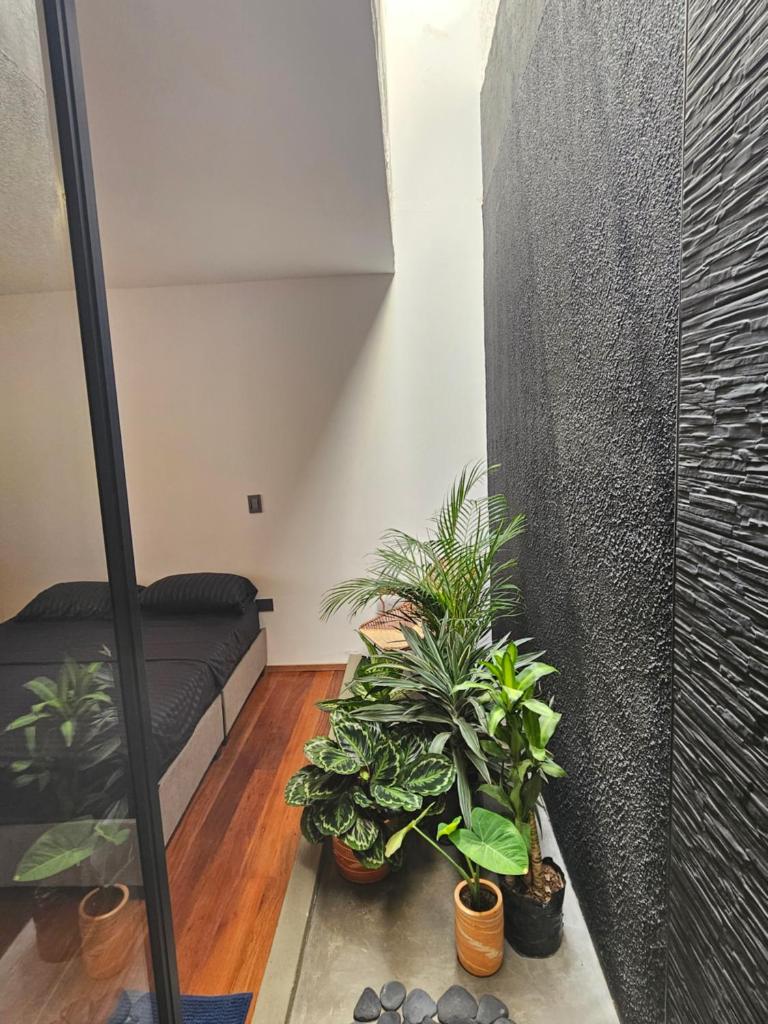 Casa Alba photo 1