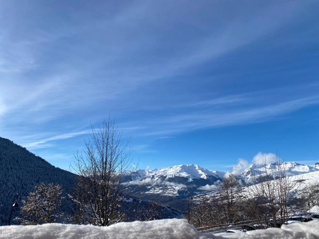 Bel appartement proche des pistes Plan Peisey photo 2