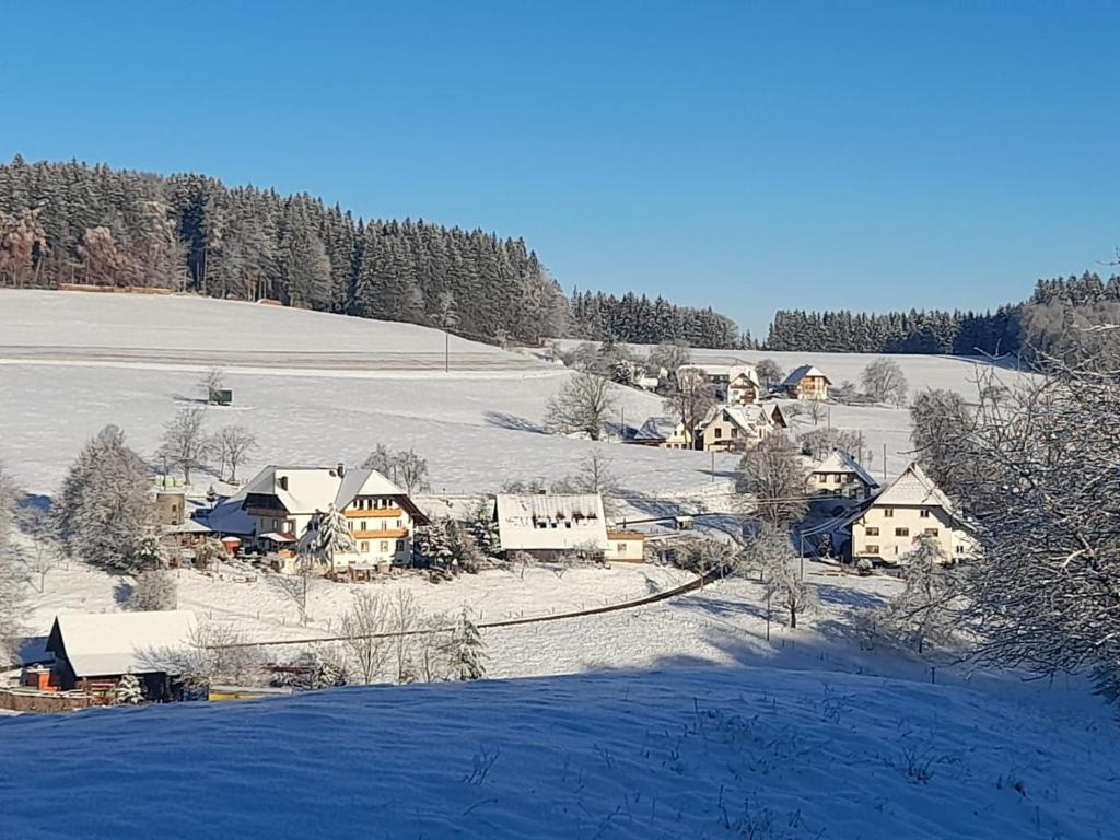 Dischhof photo 2