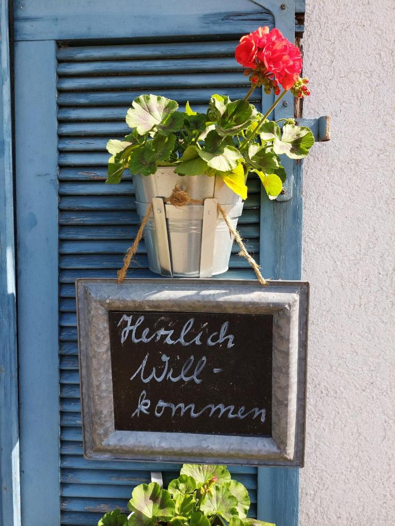 Dischhof photo 3