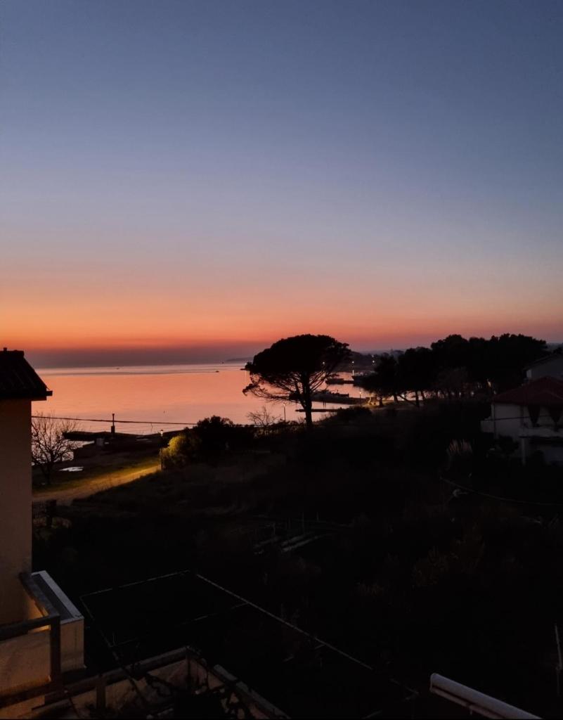 Apartments Jungic, Rab photo 1