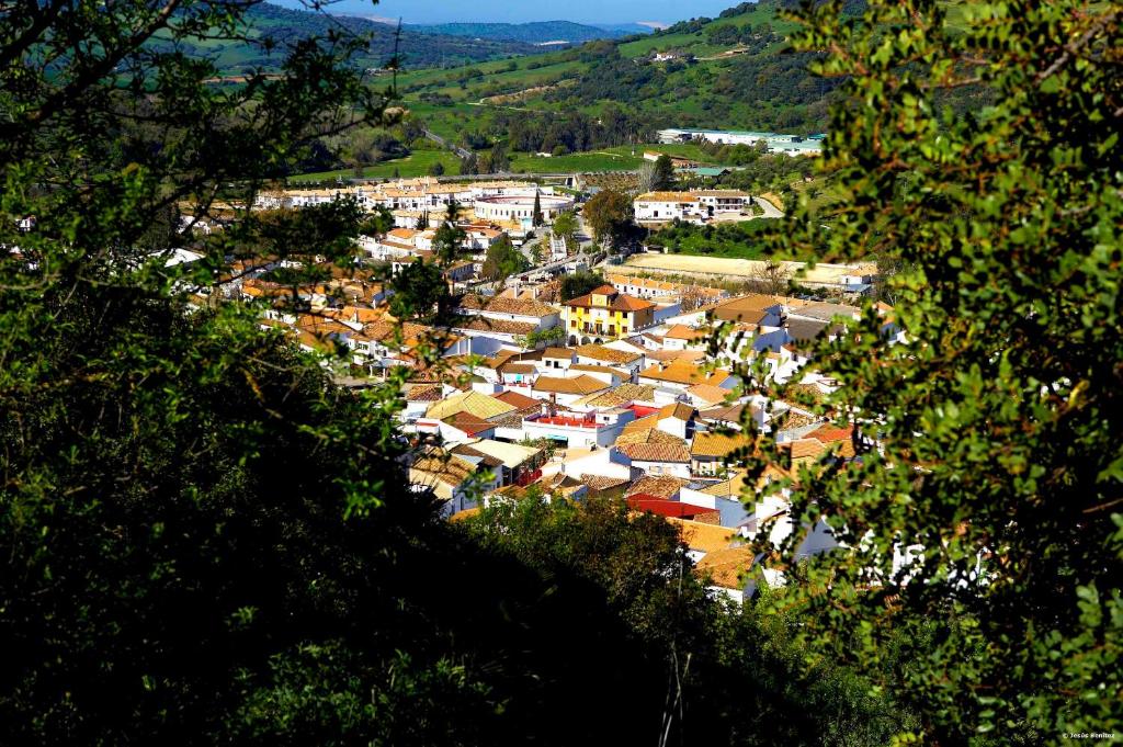 Casa Rural El Bosque photo 3