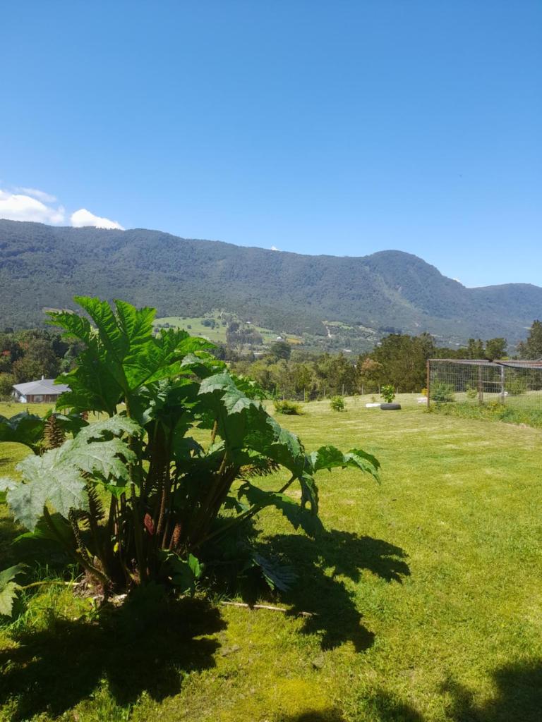 Casa Carretera Austral photo 3