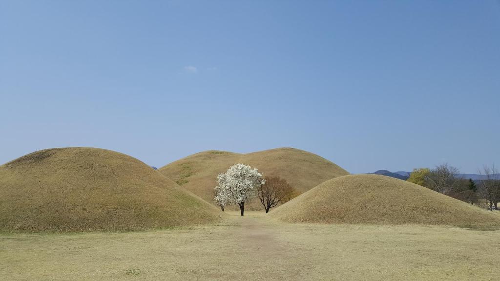 Trip to Gyeongju photo 1