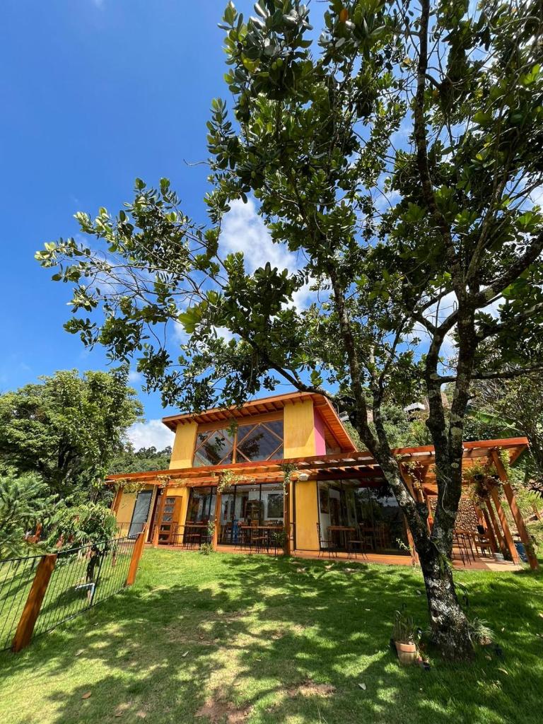 Terra de Kurí photo 3