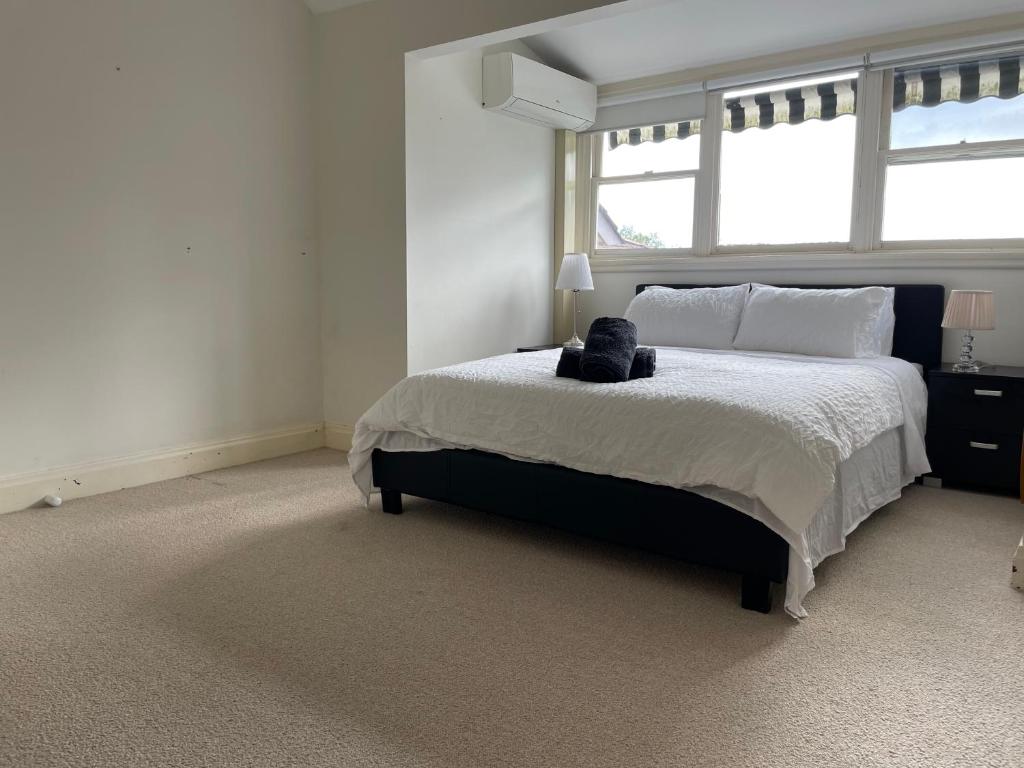 Chatswood house 6 bedroom with pool and view photo 3
