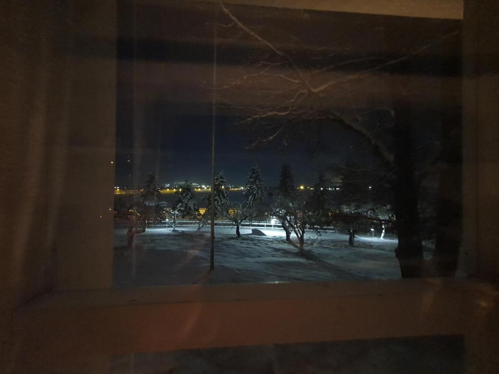 Siirilän tila photo 2