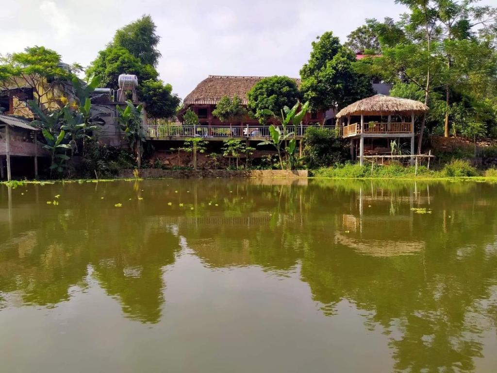 Dao homestay Vũ Linh