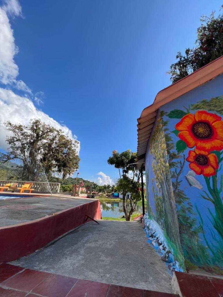 FINCA VILLA MORITA photo 2