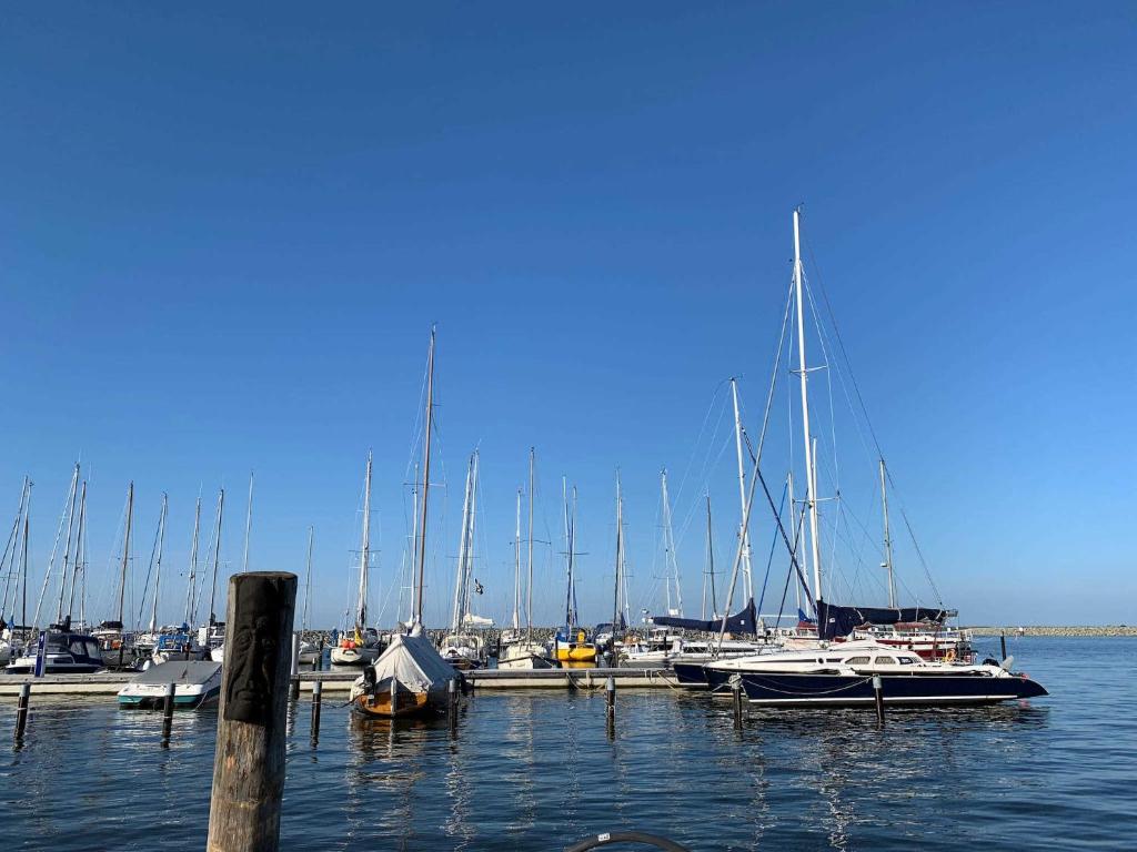 Ferienwohnungen am Barther Hafen photo 3