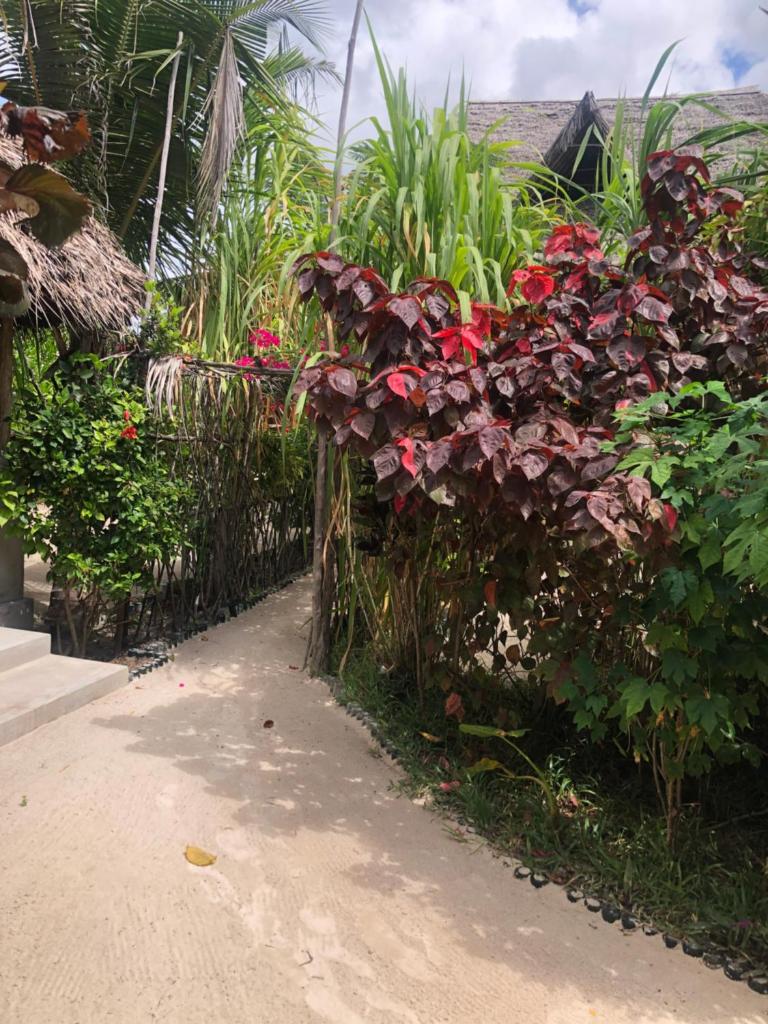 Suite Garden Lodge photo 3