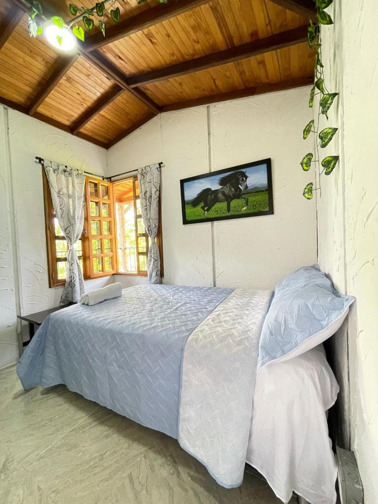 Xplora Hostel photo 2