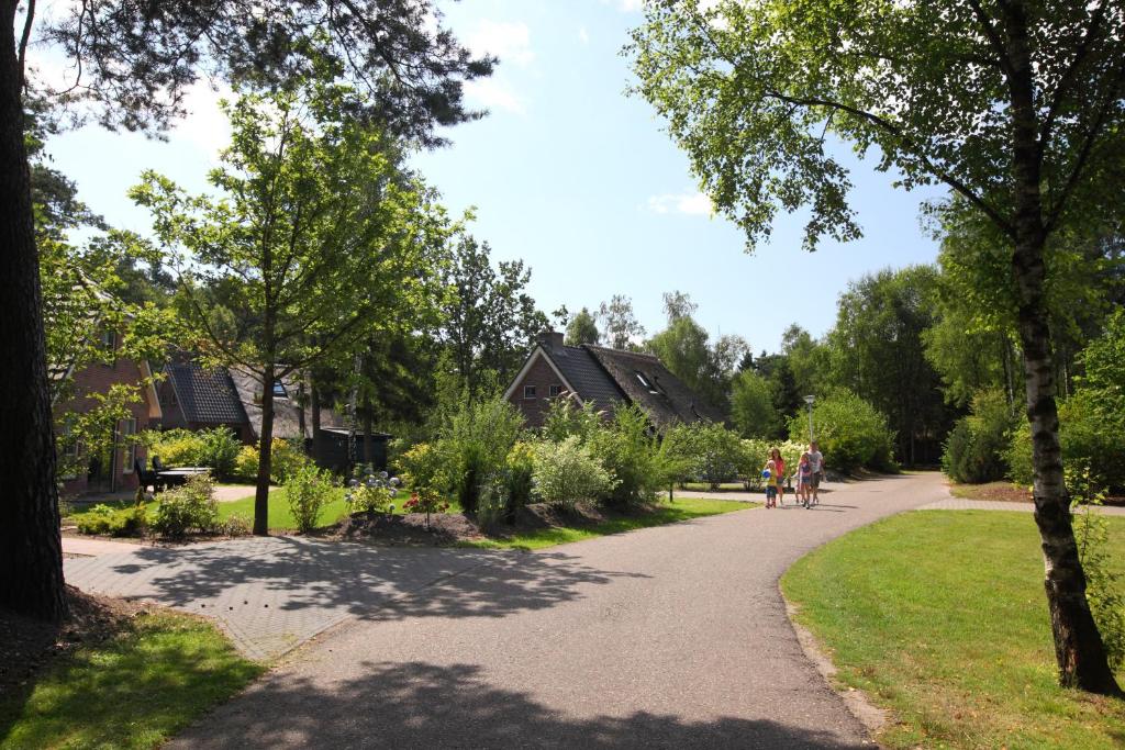 Summio Landgoed Het Grote Zand photo 1