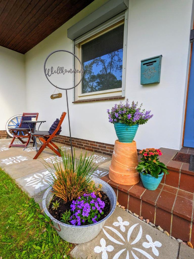 Haus Willi von Tinyhaus Steinhude photo 2