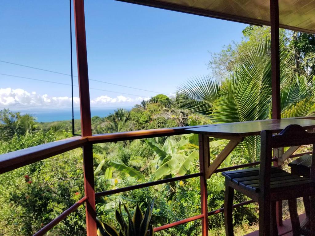 Tranquil Jungle Home-Casa Amado photo 3