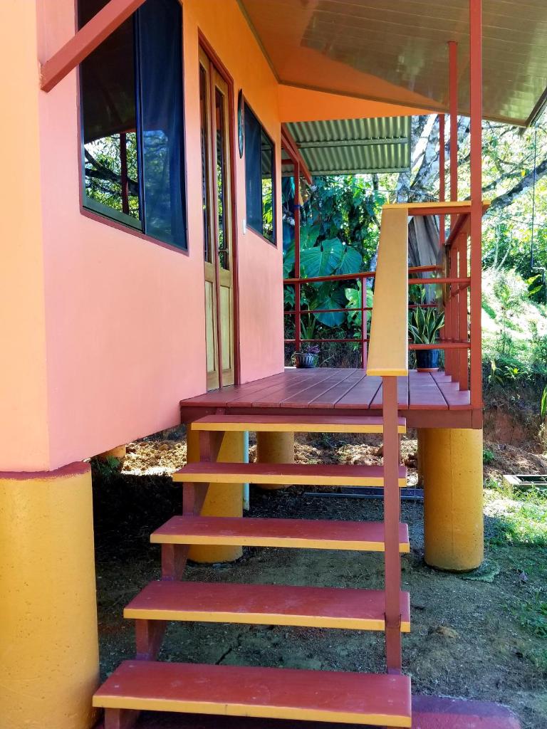 Tranquil Jungle Home-Casa Amado photo 1