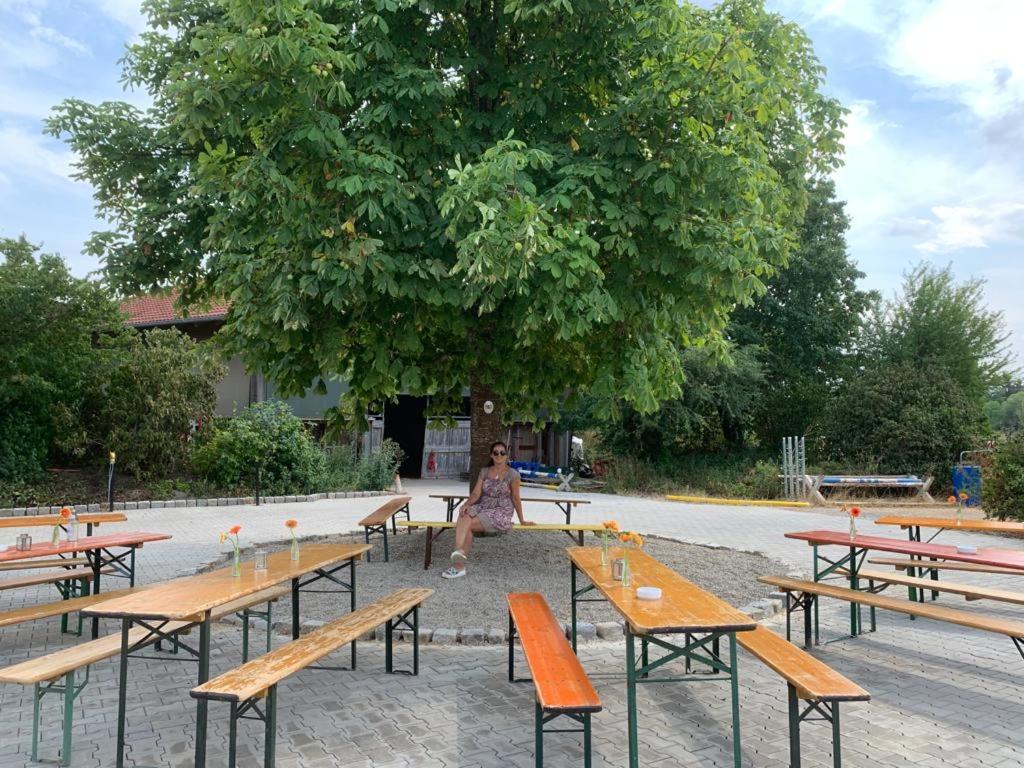 Reitschule Kronwitter photo 1