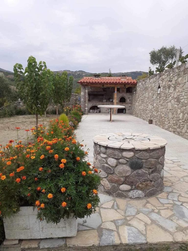 Villa Mira photo 3