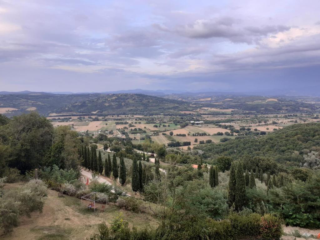 La Grotta delle Delizie photo 3