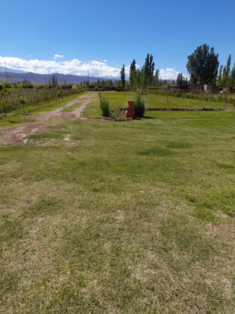 El gavion photo 2