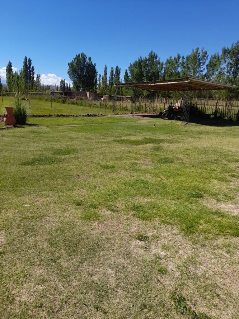 El gavion photo 3