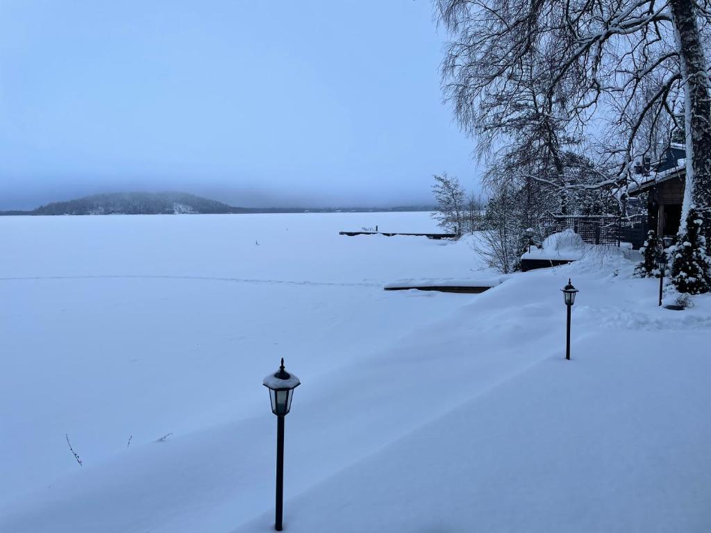Villa Joutsen photo 1
