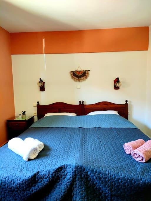 Costel rooms photo 4