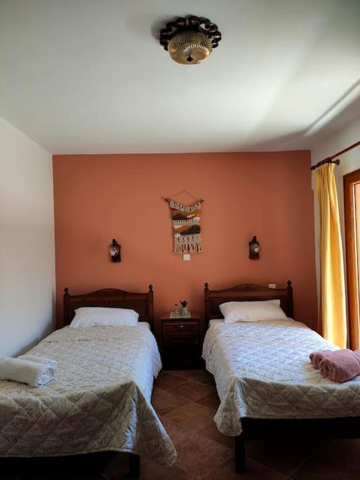 Costel rooms photo 1