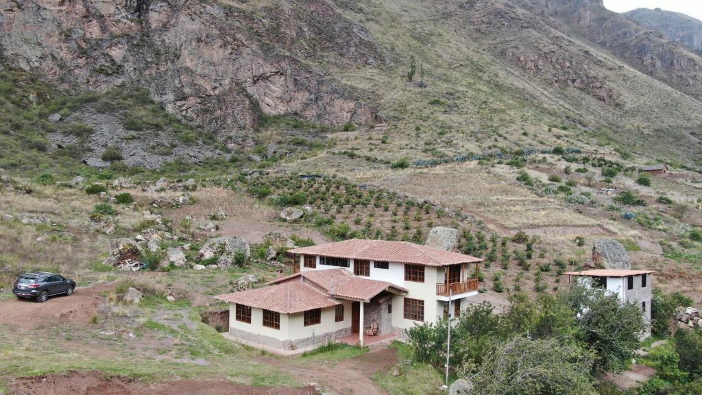 casa flores photo 2