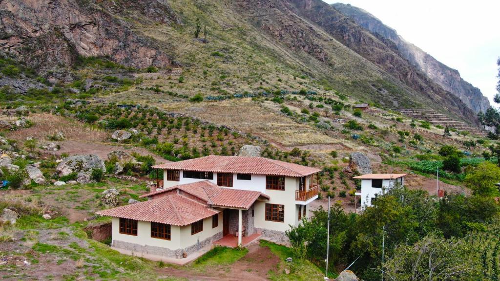 casa flores photo 4