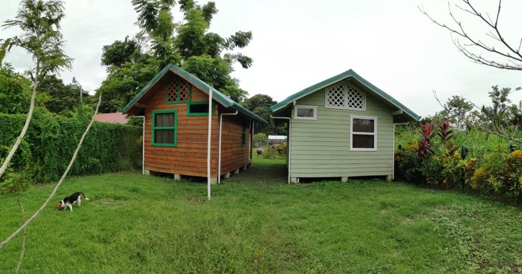Casitas Jacaranda photo 2