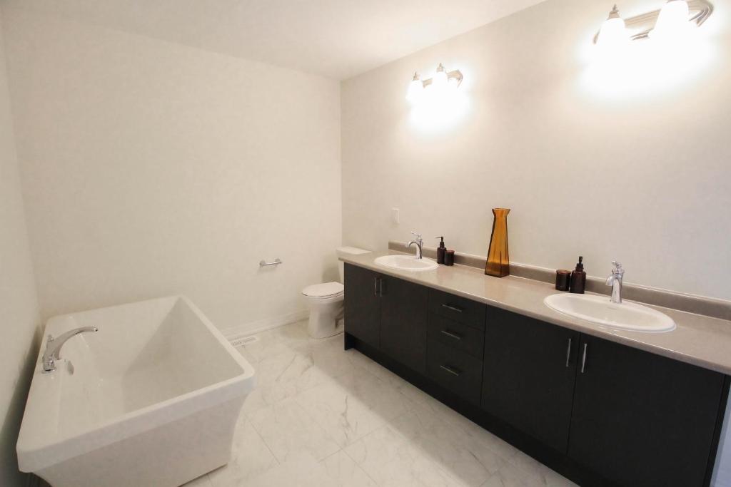 Historic West Galt - New Modern Home photo 3
