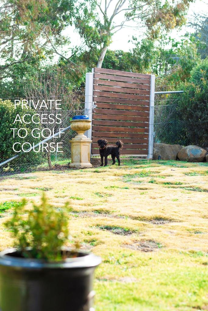 On Par for a Great Escape photo 3