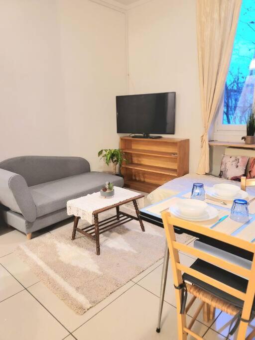 Apartment close to Lyon and Parc de Parilly photo 3