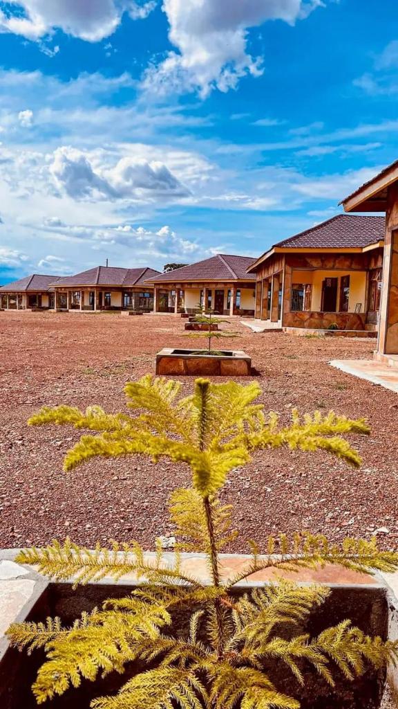 MASAI MARA COTTAGES photo 3